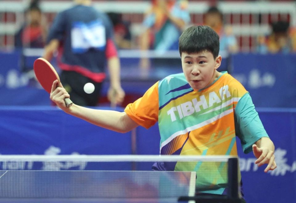 枣庄市名珠, 为了顾全运, 分会副秘书