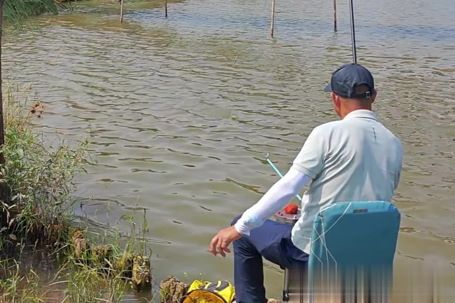 忽然一下就, 降低鱼的警