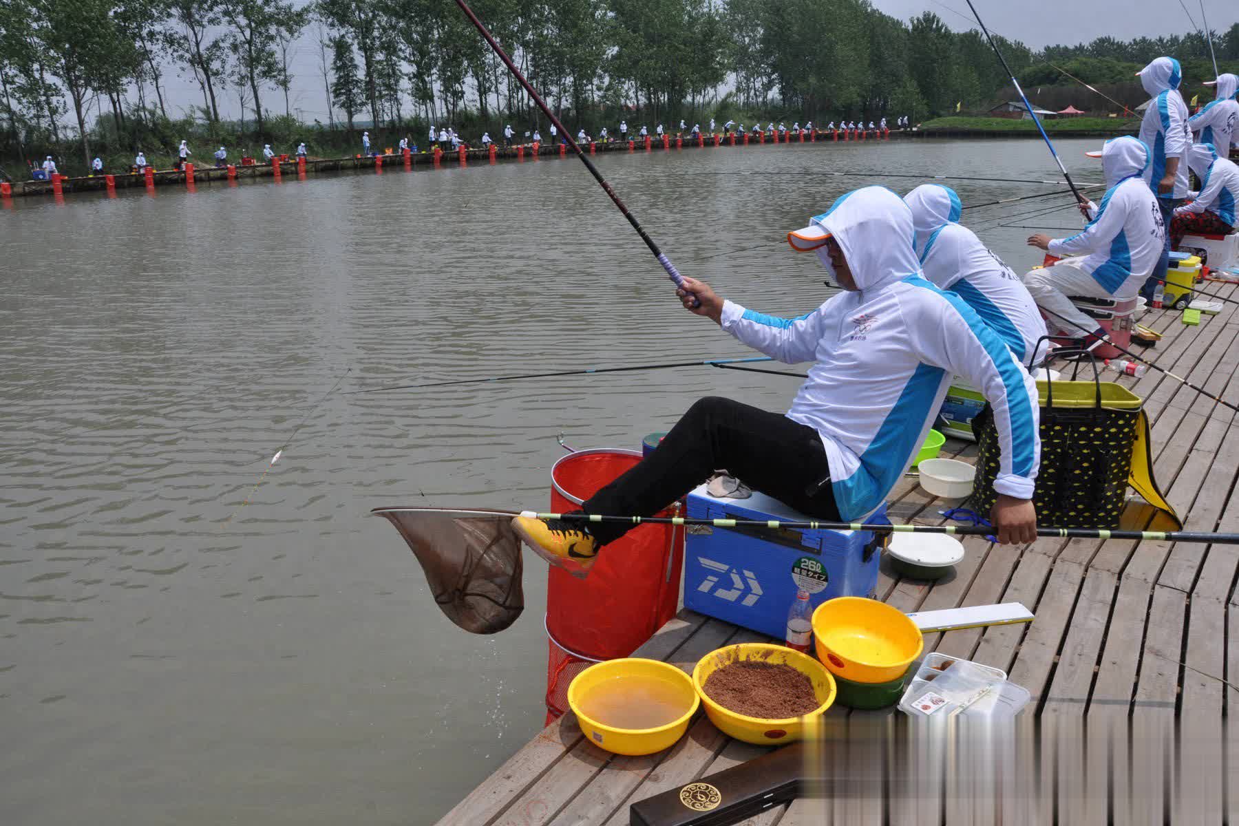 鲤鱼黑坑大, tenan