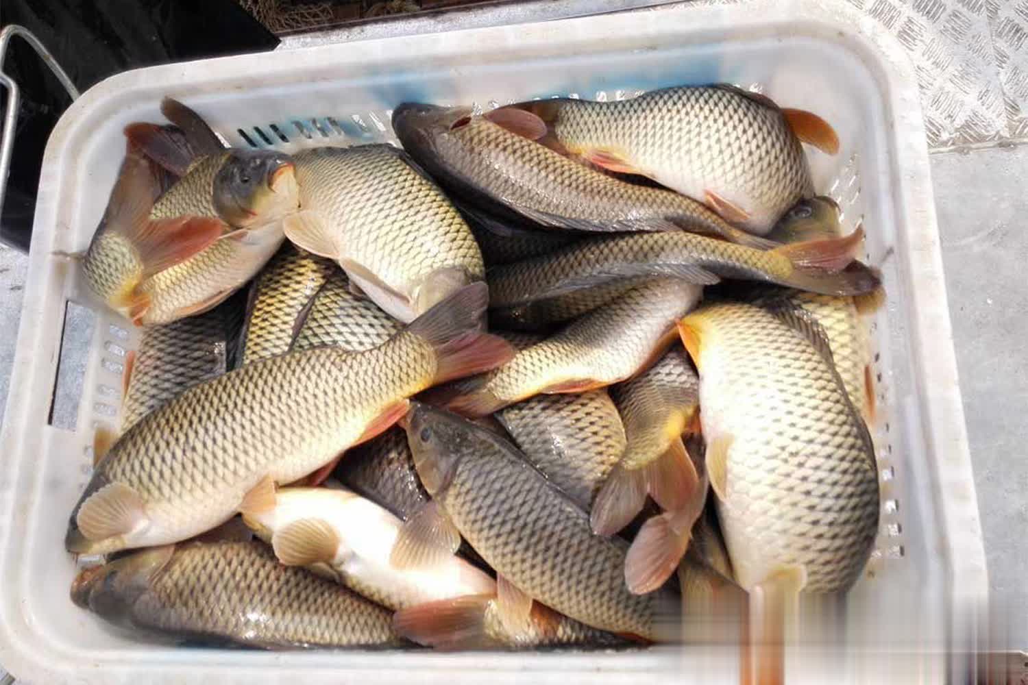 正常情况下, entit